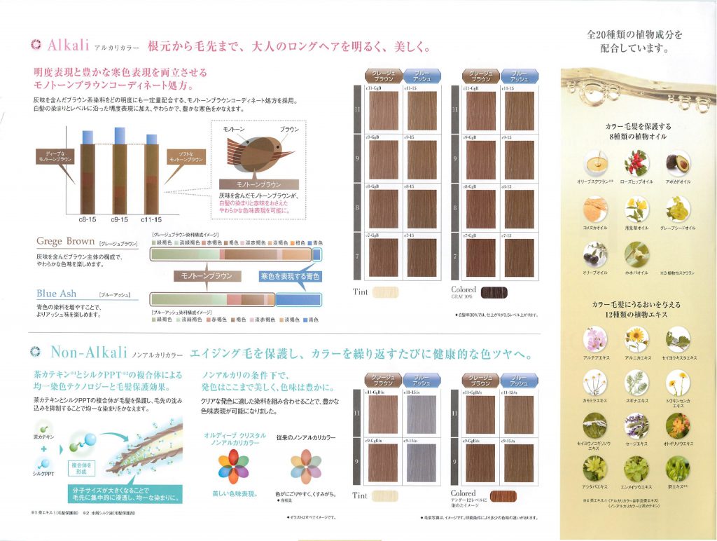 ノンアルカリカラー 〜傷まない白髪染め〜 AESOP